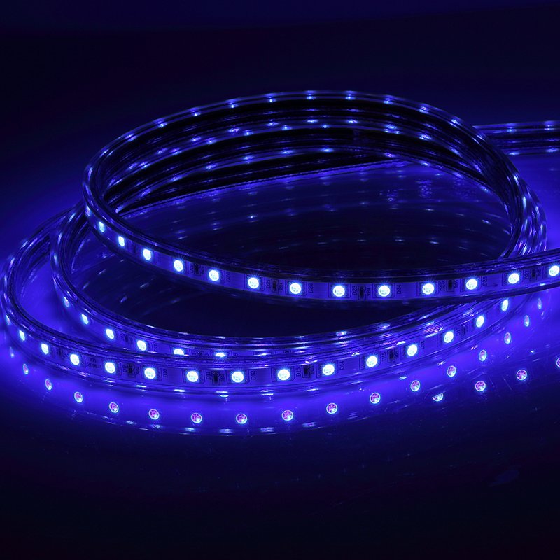 220V Color Changing Waterproof Flexible Light for Decoration Led Light Strip,Rgb Led Strips,Led Strip Light 5050 Rgb