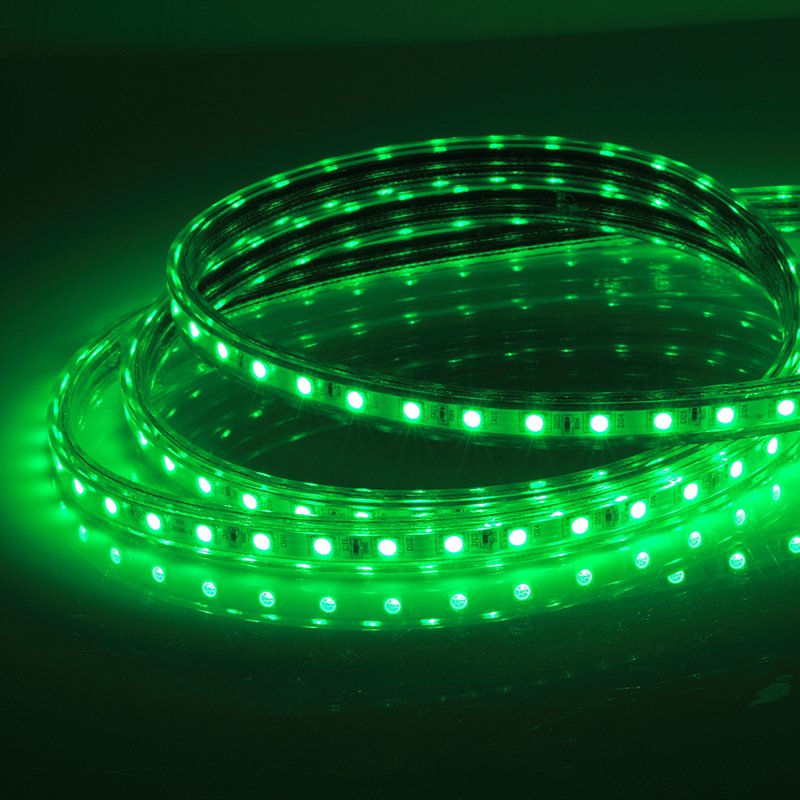 220V Color Changing Waterproof Flexible Light for Decoration Led Light Strip,Rgb Led Strips,Led Strip Light 5050 Rgb