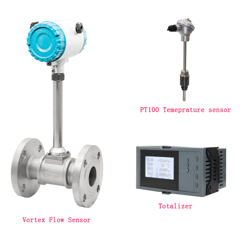 Remote Vortex Flow Meter With Flow Computer