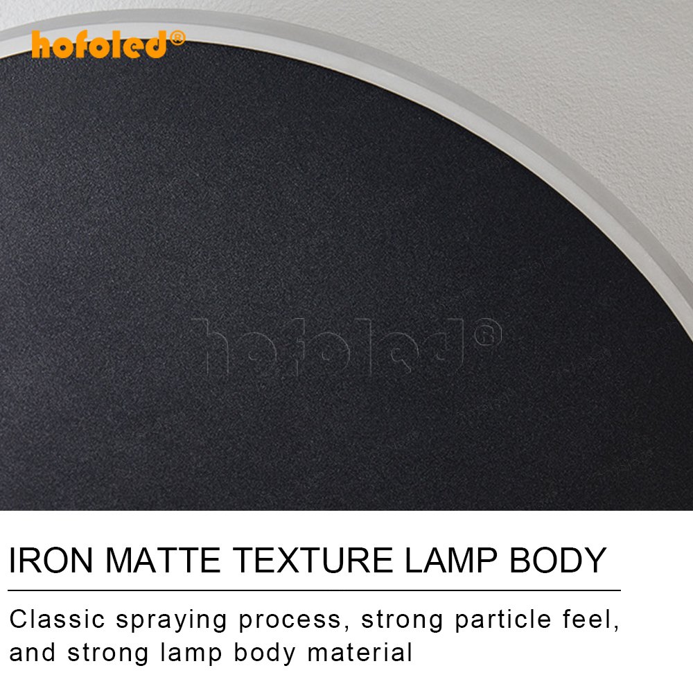 Modern Minimalist Indoor/Outdoor Wall Sconces for Garden Villa Iron Acrylic Black Wall Lamp LED Light Source for Home Decoration