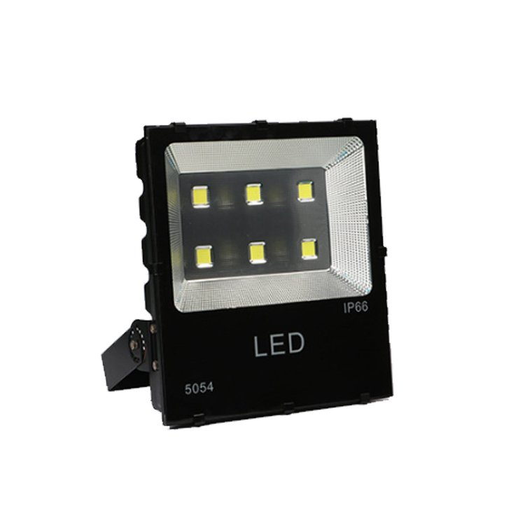 50 Watt 50W 100W 200W 150W 300W 1000W Circuit Floodlight Projector Lamp Ac220 Volts Rgb Light Lampara 5054 Cob Led Flood Lights