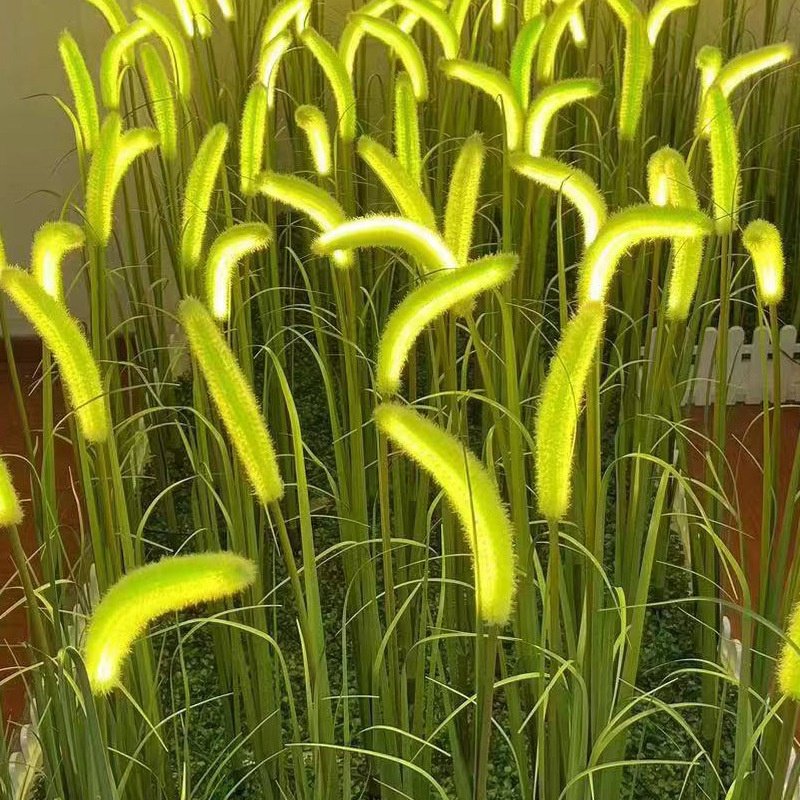 100cm Led Setaria Grass Ground Light Outdoor IP65 Waterproof Reed Light Decorative Landscape Lamp DC12V Garden Lawn Light