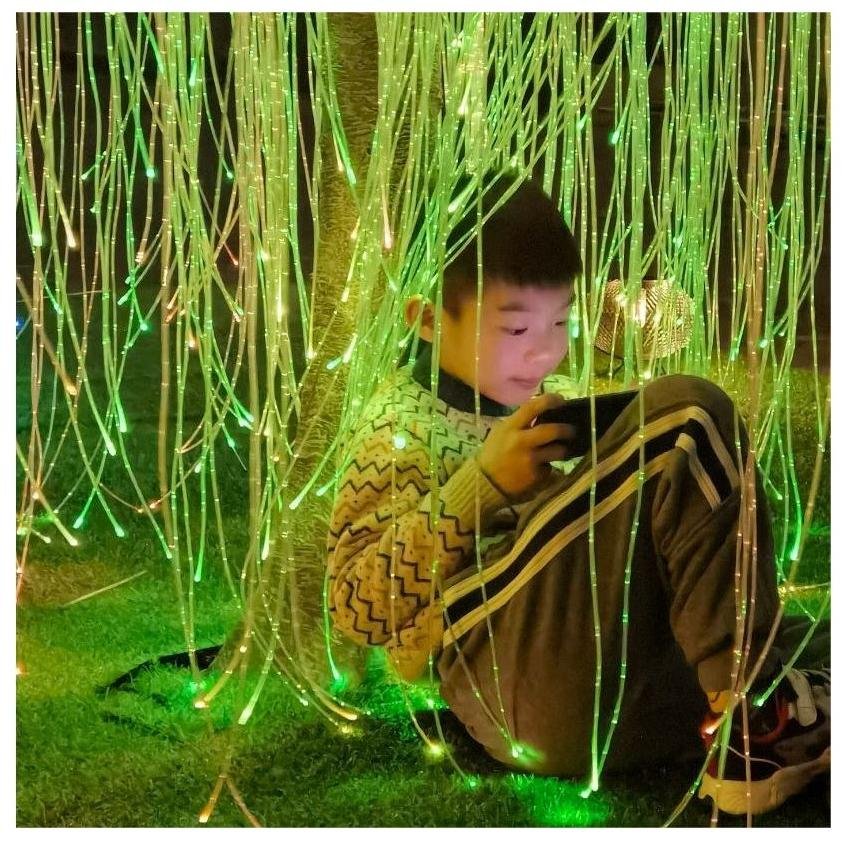 LED Fiber Optic Light Curtain with Colorful Flash Spot Starry Sky Outdoor