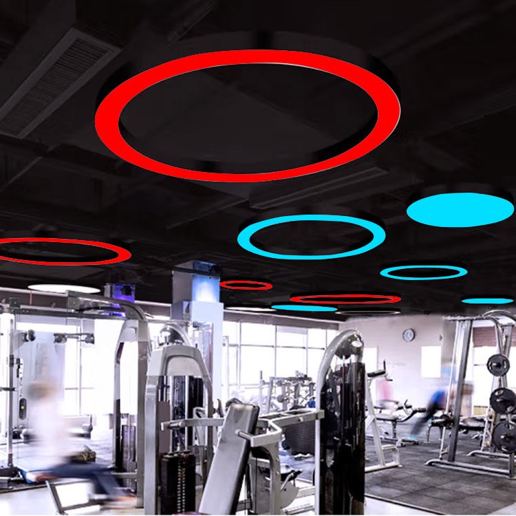 Rgb 60mm LED Round Hanging Lamp Ceiling 0-10v Dimming Suspended Decorative Circular Ring Pendant Light
