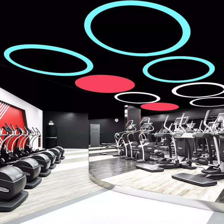 Rgb 60mm LED Round Hanging Lamp Ceiling 0-10v Dimming Suspended Decorative Circular Ring Pendant Light