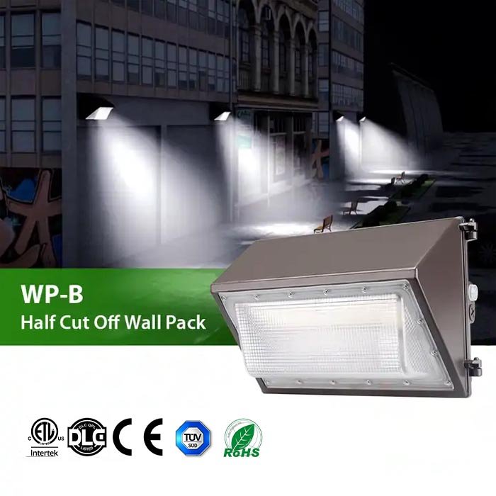 Factory Economical Outdoor Wall Pack LED Light 25W 50W 75W 100W 120W Outdoor Wall Light