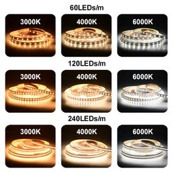 240led/m