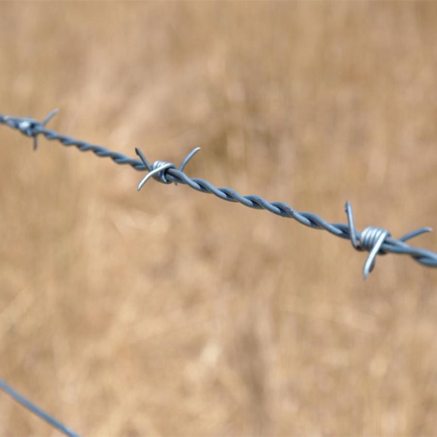 High Quality razor Barb Galvanized Wire Barbed Wire Fence 500m Barbed Wire