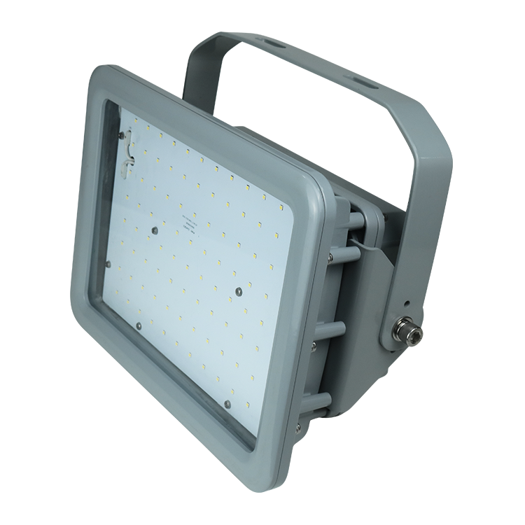 20W 40W 60W 80W 100W 150W 180W 200W 250W 300W 400W LED Explosion Proof Lighting Professional Explosion Proof Lamps a Series