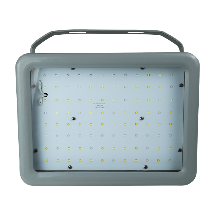 20W 40W 60W 80W 100W 150W 180W 200W 250W 300W 400W LED Explosion Proof Lighting Professional Explosion Proof Lamps a Series