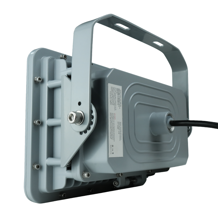 20W 40W 60W 80W 100W 150W 180W 200W 250W 300W 400W LED Explosion Proof Lighting Professional Explosion Proof Lamps a Series