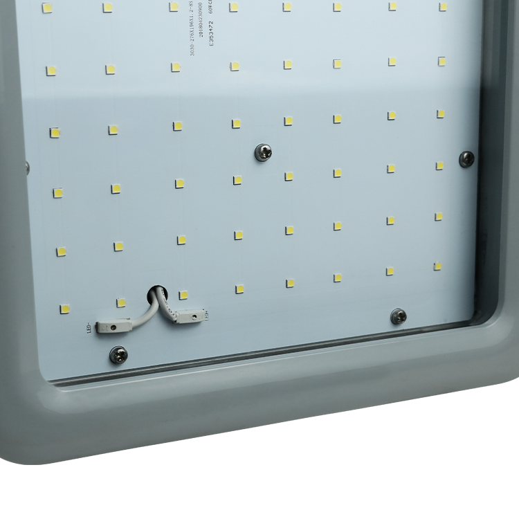 20W 40W 60W 80W 100W 150W 180W 200W 250W 300W 400W LED Explosion Proof Lighting Professional Explosion Proof Lamps a Series