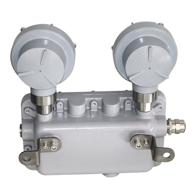IECEx ATEX Listed Wall Mounted Explosion Proof Double Twin Head Light Emergency Lamp Led Double-head Exit Light