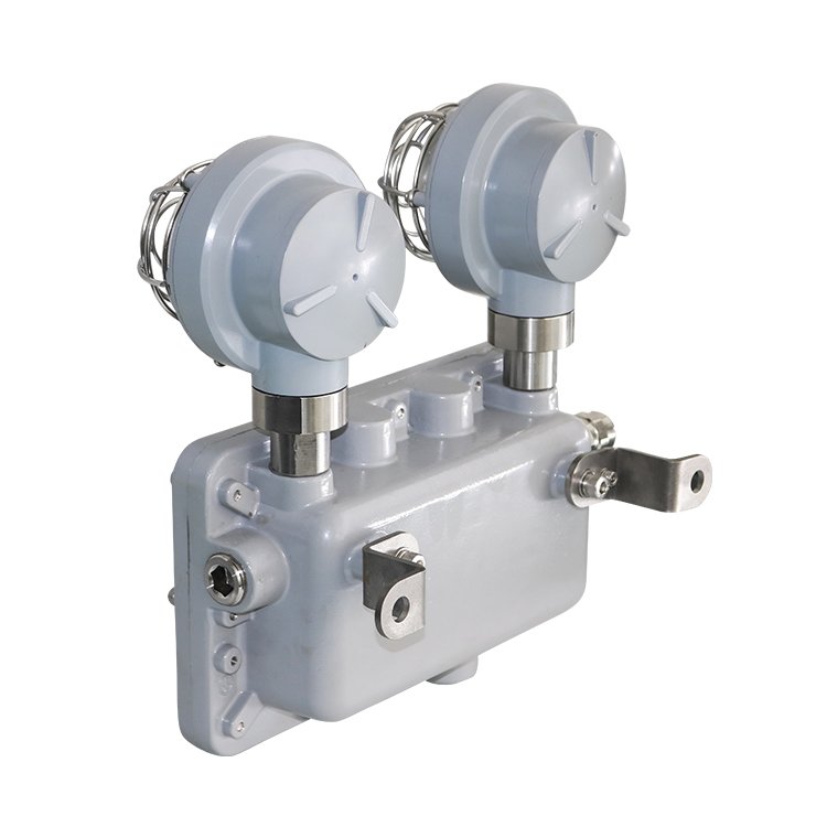IECEx ATEX Listed Wall Mounted Explosion Proof Double Twin Head Light Emergency Lamp Led Double-head Exit Light