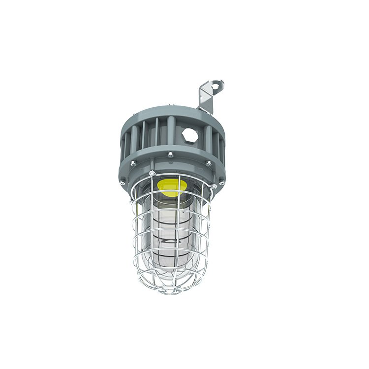 Class 1 Division 1 Tempered Globe Glass Stainless Steel Guard Explosion Proof Light 20W/30W/40W UL ETL Listed