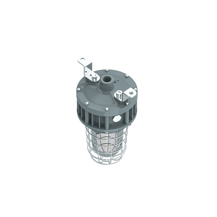 Class 1 Division 1 Tempered Globe Glass Stainless Steel Guard Explosion Proof Light 20W/30W/40W UL ETL Listed