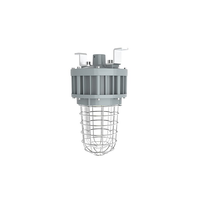 Class 1 Division 1 Tempered Globe Glass Stainless Steel Guard Explosion Proof Light 20W/30W/40W UL ETL Listed