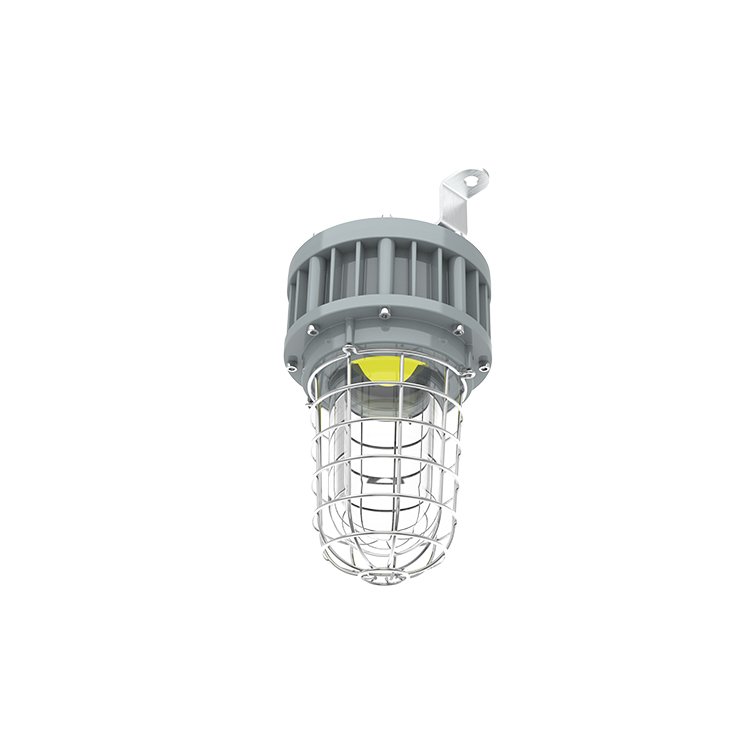Class 1 Division 1 Tempered Globe Glass Stainless Steel Guard Explosion Proof Light 20W/30W/40W UL ETL Listed
