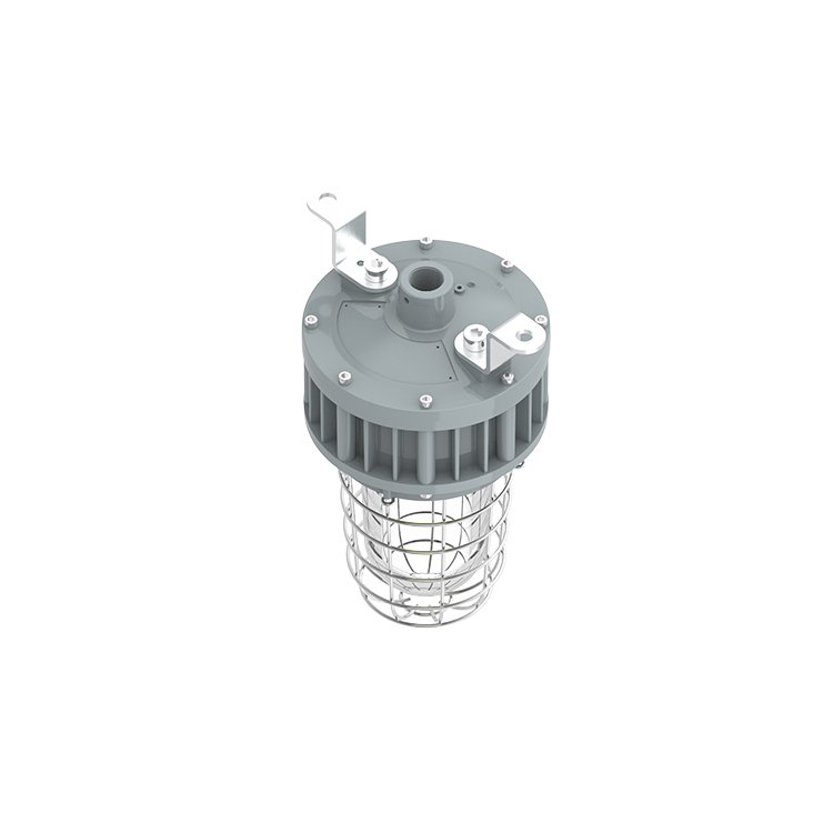 Class 1 Division 1 Tempered Globe Glass Stainless Steel Guard Explosion Proof Light 20W/30W/40W UL ETL Listed