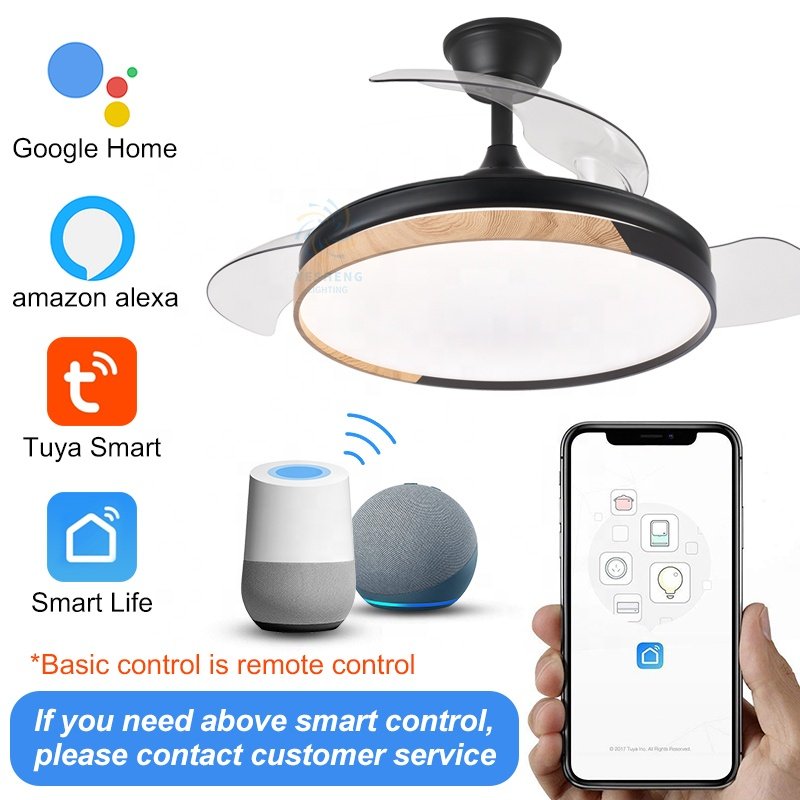 Y047 Modern Grain Remote Control 42 Inch Bladeless 110/220v Ceiling Fans with Lights Lamp Led Designer Luz Con Ventilador