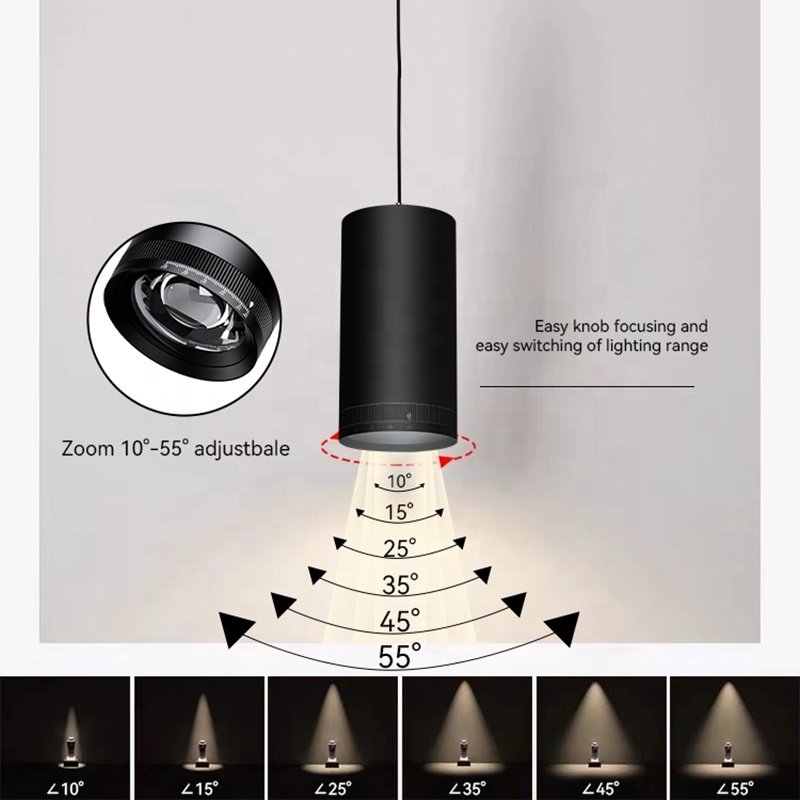 Factory 15W 20W 25W 30W 35W 40W 45W Suspended Pendent Lamp Waterproof Ip65 COB Led Surface Mounted Downlight for Hotel