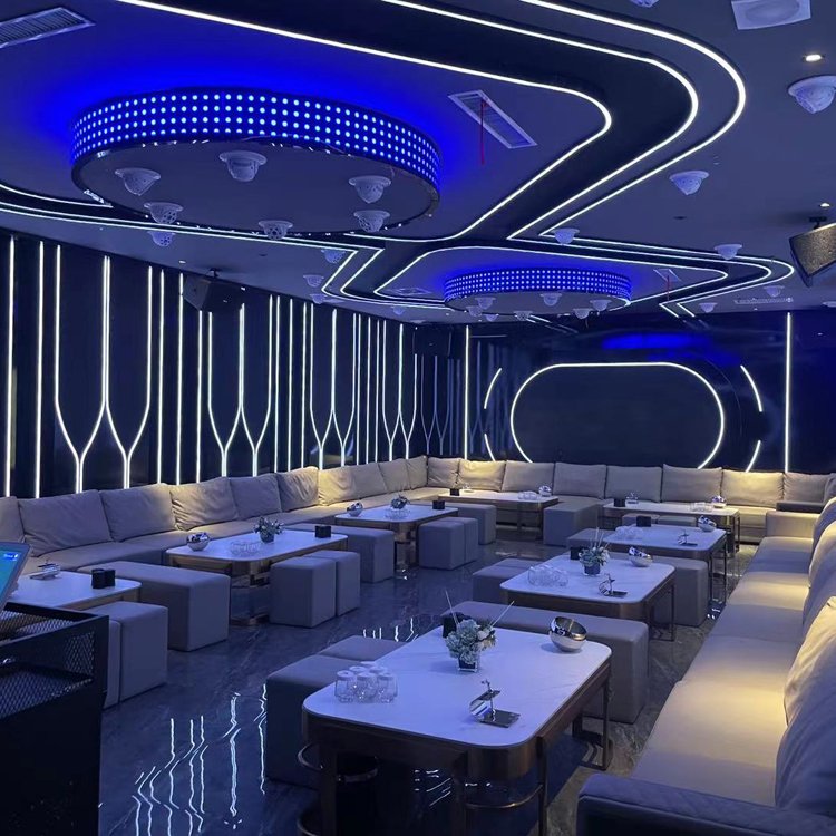 LED Soft Strip Neon Two-color 1010 Three-sided Light Emitting Double Layer No Spot Flexible Light Sleeve Silicon Led Profile