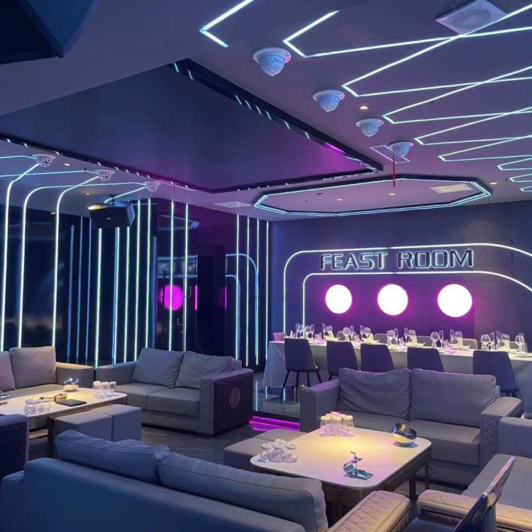 LED Soft Strip Neon Two-color 1010 Three-sided Light Emitting Double Layer No Spot Flexible Light Sleeve Silicon Led Profile