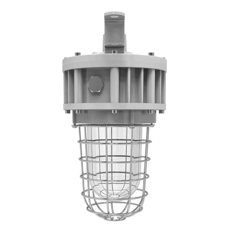 UL ETL Certified Tempered Globe Glass Stainless Steel Guard 20W 30W 40W Explosion Proof Light Class 1 Division 1