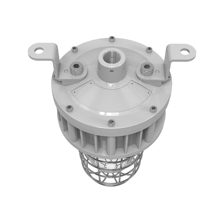 UL ETL Certified Tempered Globe Glass Stainless Steel Guard 20W 30W 40W Explosion Proof Light Class 1 Division 1