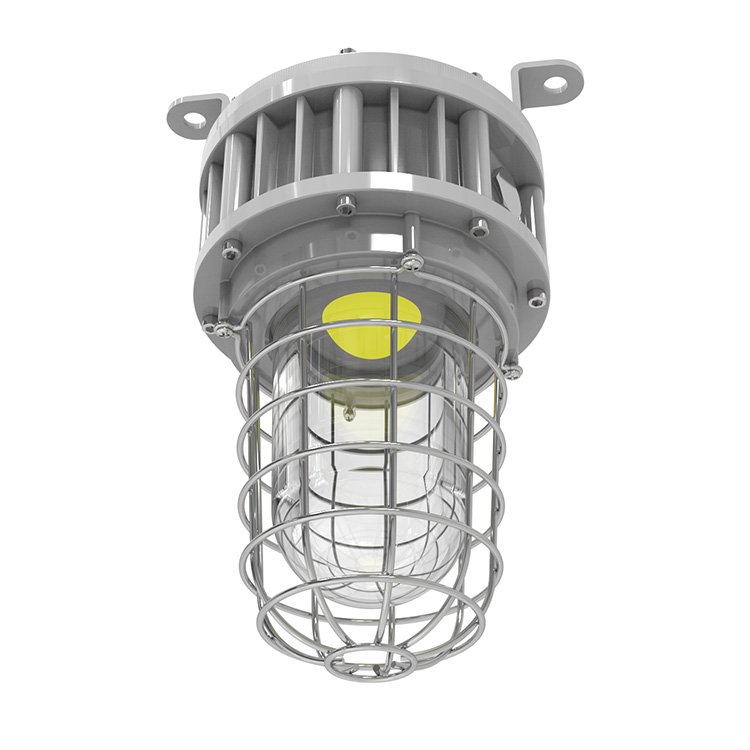 UL ETL Certified Tempered Globe Glass Stainless Steel Guard 20W 30W 40W Explosion Proof Light Class 1 Division 1