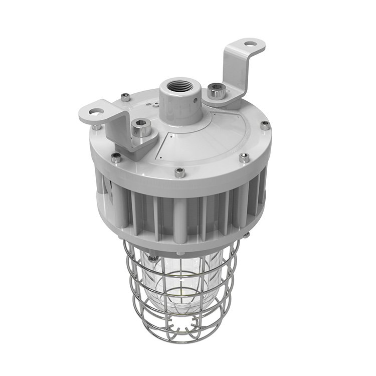 UL ETL Certified Tempered Globe Glass Stainless Steel Guard 20W 30W 40W Explosion Proof Light Class 1 Division 1