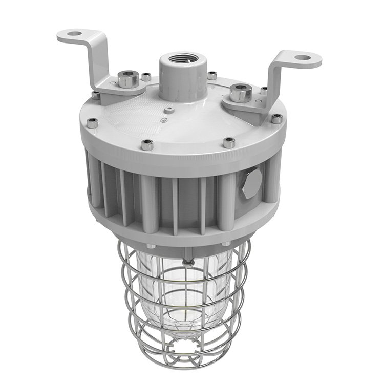 UL ETL Certified Tempered Globe Glass Stainless Steel Guard 20W 30W 40W Explosion Proof Light Class 1 Division 1