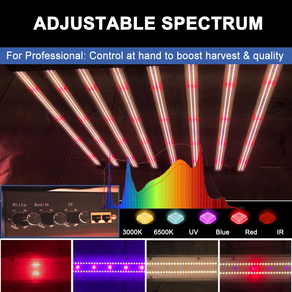 US Stock PPFD 2800 Umol/S Led Grow Lights 1000W Yields up to 4Lb Full Spectrum Uv Ir Independent Control Lm301H Grow Light 800W
