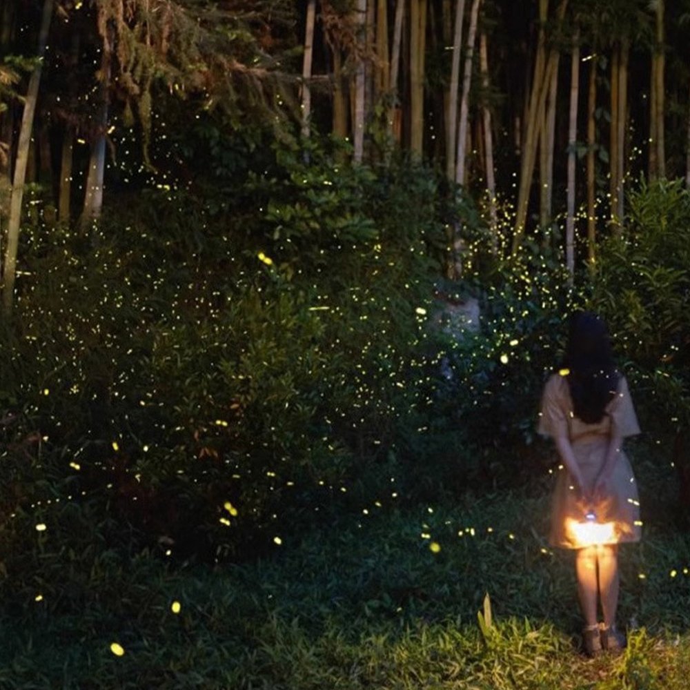 LED Outdoor Waterproof Dynamic Firefly Star Laser Projection Light Park Landscape Lawn Atmosphere Decoration Laser Stage Light