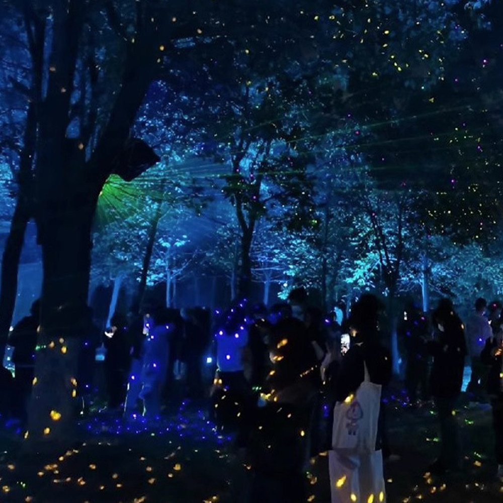 LED Outdoor Waterproof Dynamic Firefly Star Laser Projection Light Park Landscape Lawn Atmosphere Decoration Laser Stage Light