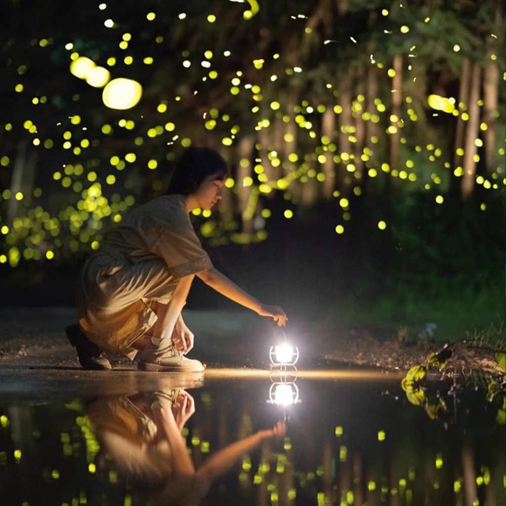 LED Outdoor Waterproof Dynamic Firefly Star Laser Projection Light Park Landscape Lawn Atmosphere Decoration Laser Stage Light