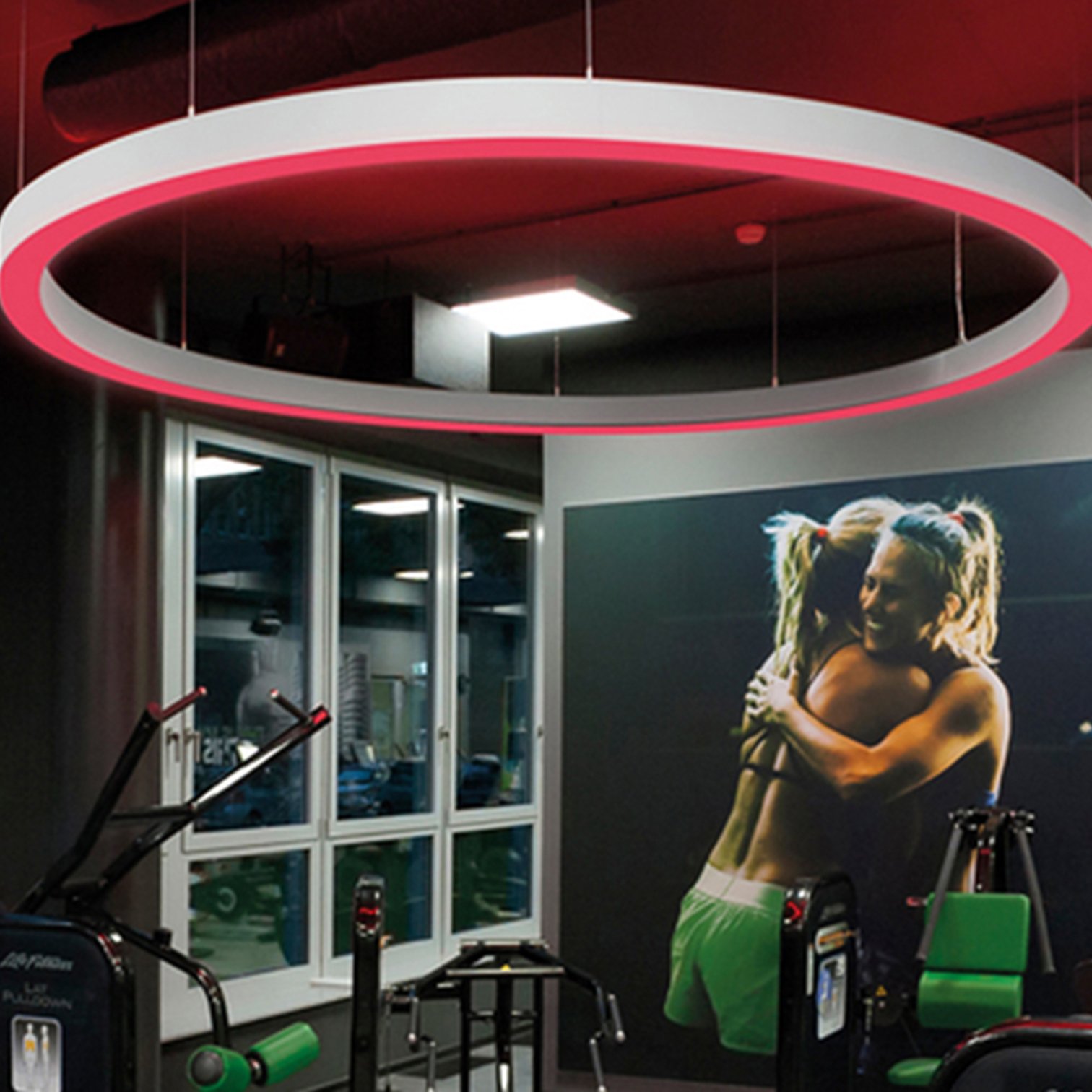 5m 6m Big Diameter RGB RGBW Circular Ring Pendant Light Color Changing Circle Linear Led Hanging Lamp for Car Showroom