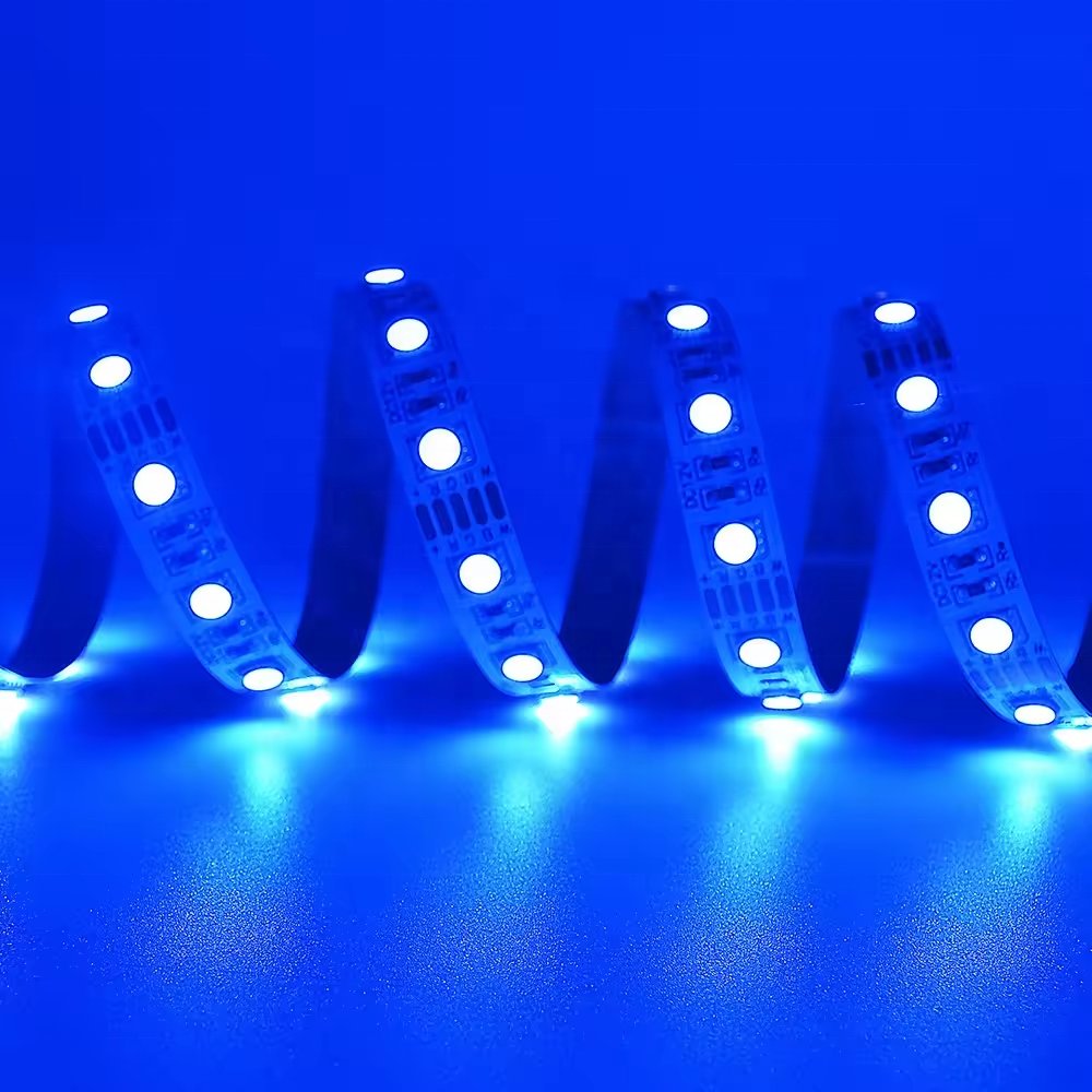 5050 300Leds RGB CCT RGBW LED Strip Light