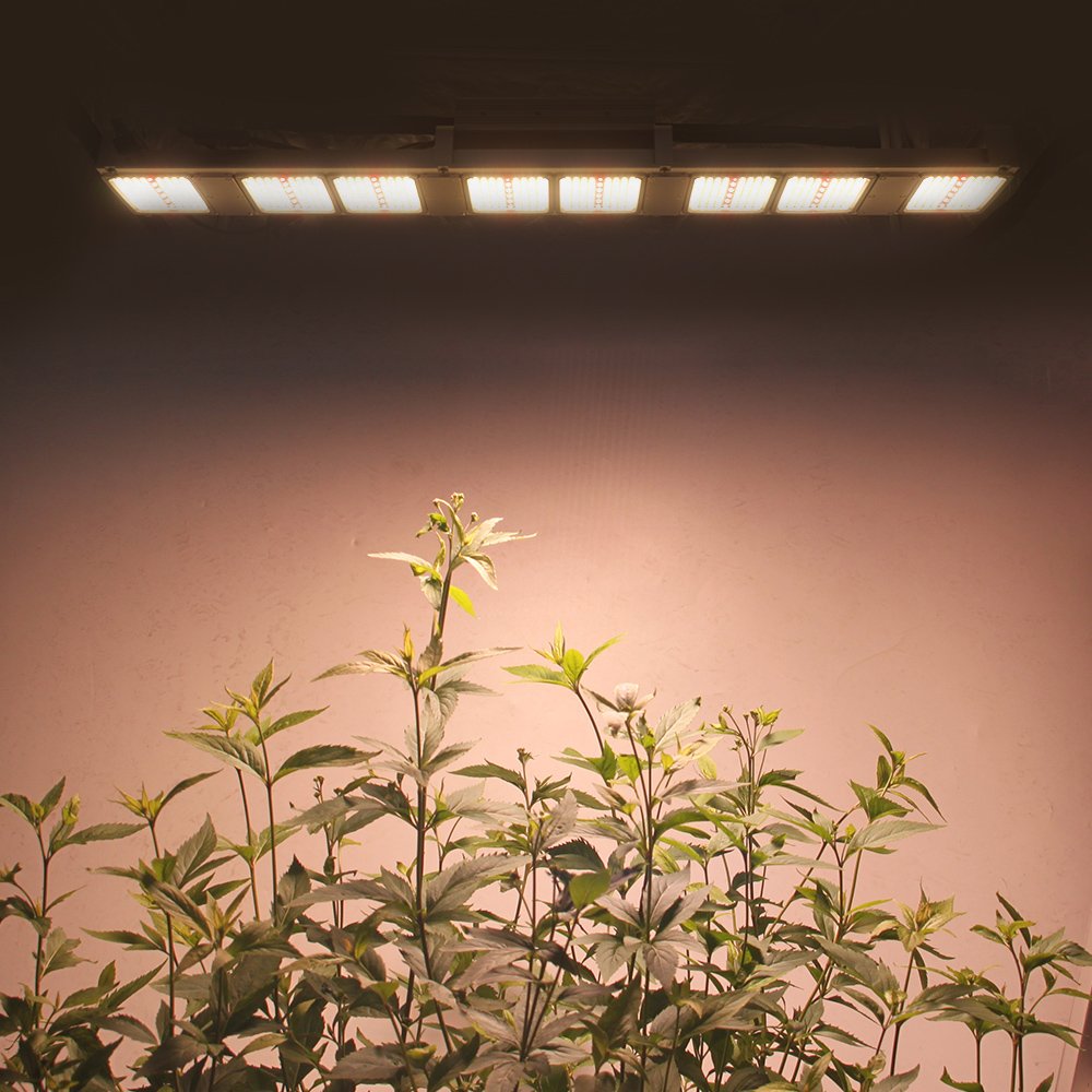 New Grow Led 320w Board Lm301h UV IR Separate Control Samsung 301h Evo Grow Box Vertical Farming Led Grow Lights