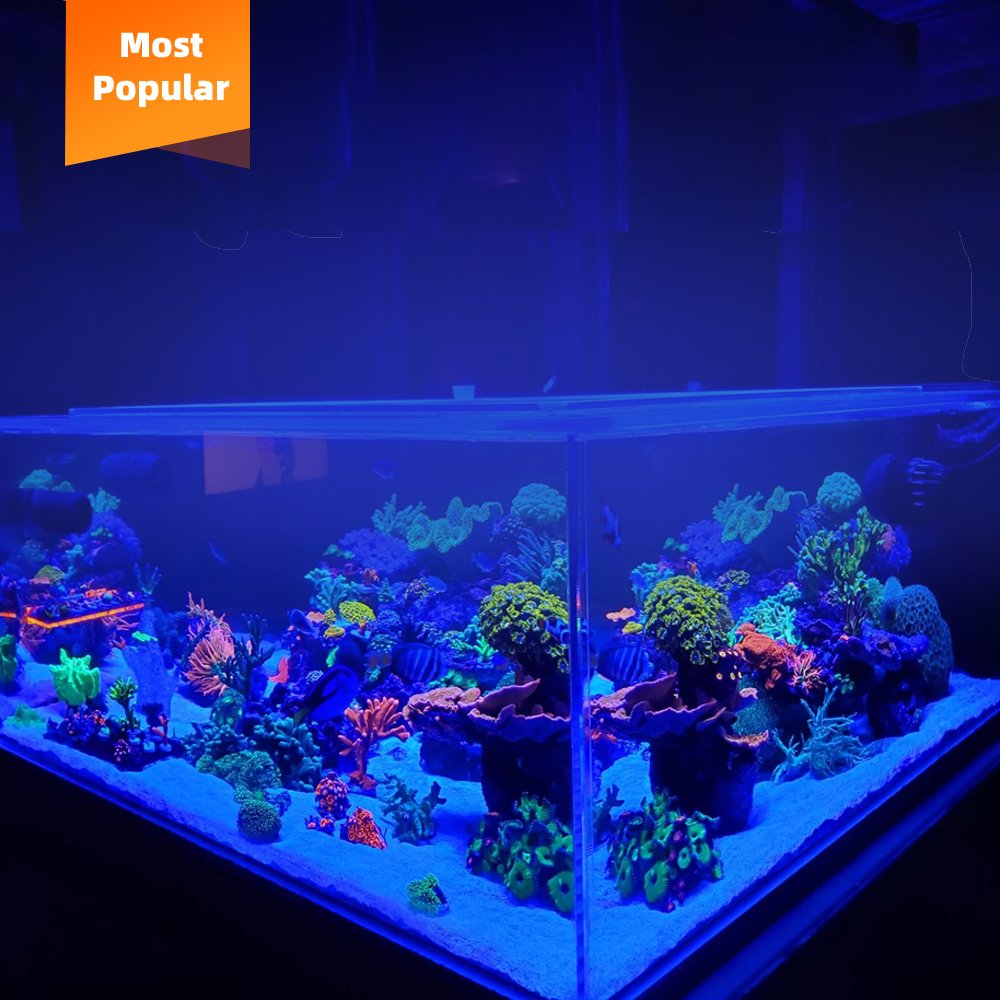 SEASTAR 2023 Newest Adjustable Spectrum Clip Marine Fish Tank Full Spectrum Led Aquarium Light Bar for Coral Reef