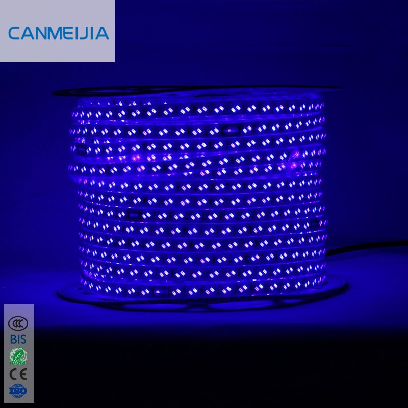 SMD 5730 Double Row 120chips/m Flexible Tape Color Changing Led Lights Stripe Cinta De Luces Led 5730 Led Strip/Led Strip