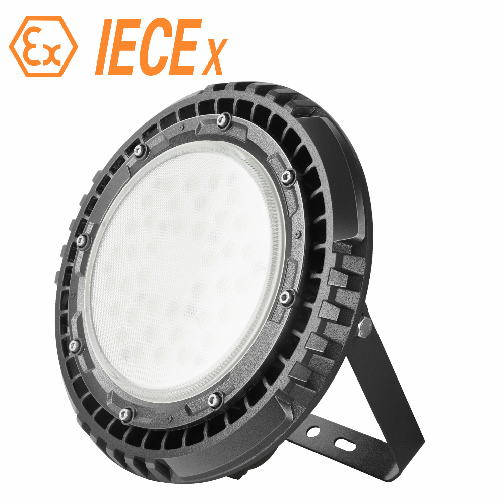 Ex Light 60-200W Explosion-Proof Wall Light Corrosion Proof Hazardous Explosion-Proof Lights for Lacations