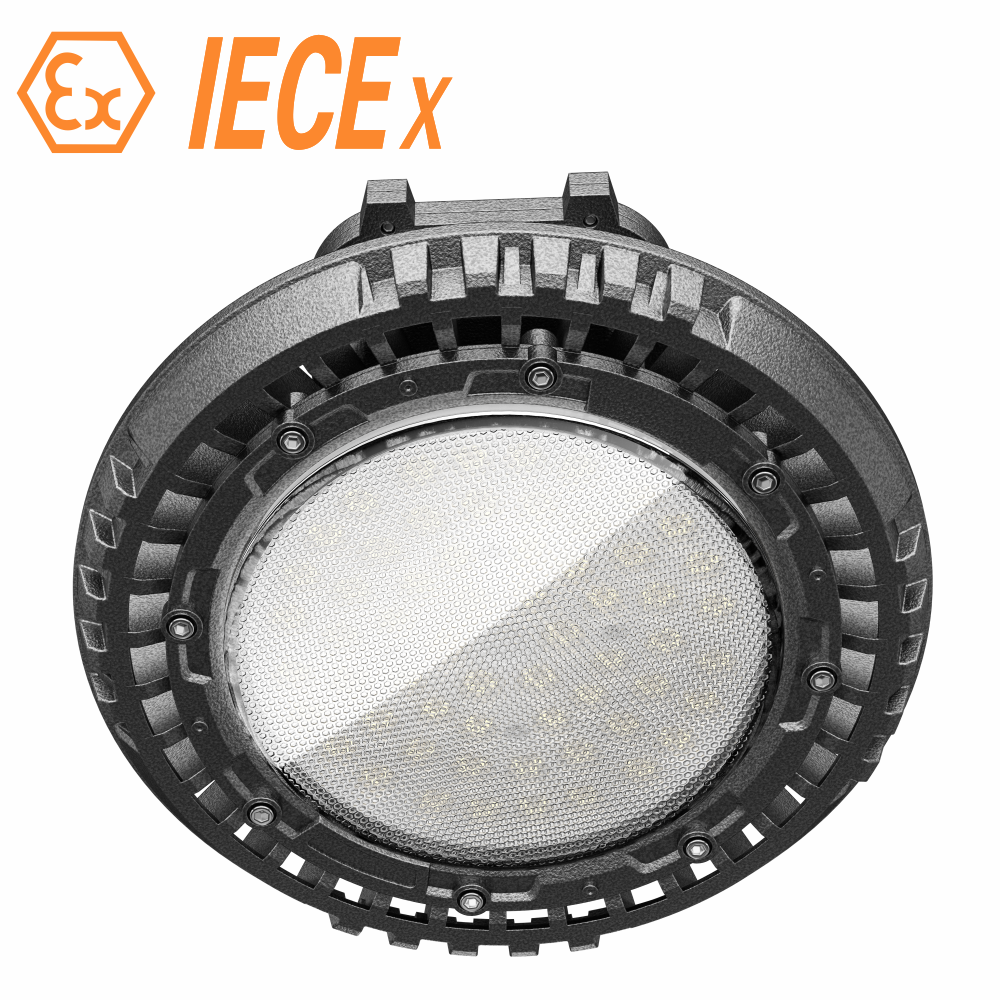 Ex Light 60-200W Explosion-Proof Wall Light Corrosion Proof Hazardous Explosion-Proof Lights for Lacations