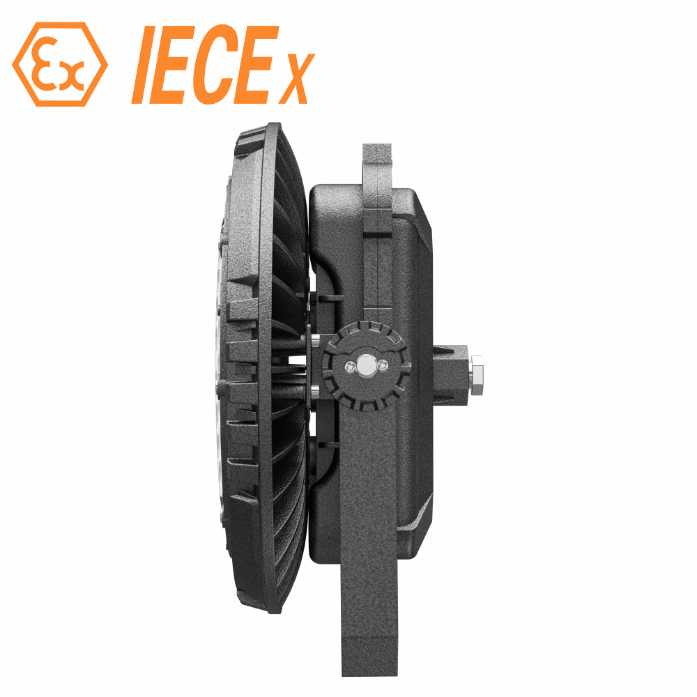 Ex Light 60-200W Explosion-Proof Wall Light Corrosion Proof Hazardous Explosion-Proof Lights for Lacations
