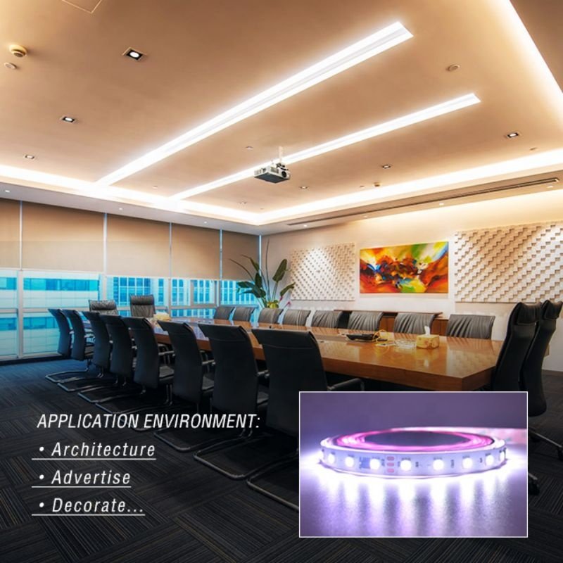 Factory Price Smart Strip Lights WS2811 RGB Addressable LED Lights 10 Pixels DC24V 60LEDs/m LED Strips Light Outdoor Waterproof