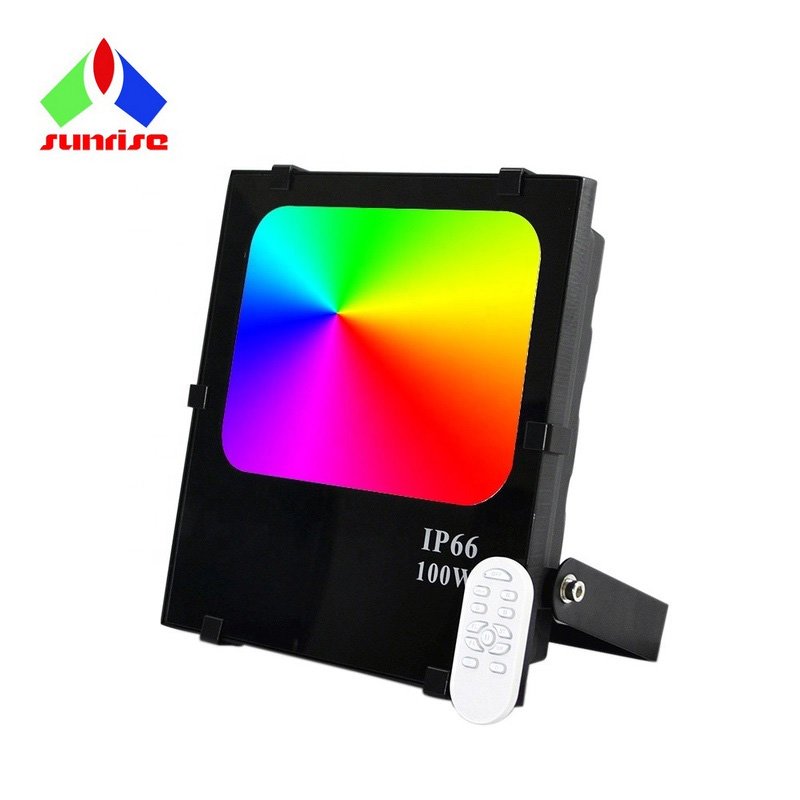 Floodlights 50w 100W 150w 200w Multi-colors Changing Led with Remote Control Flex and Plug Flood Light RGB Outdoor