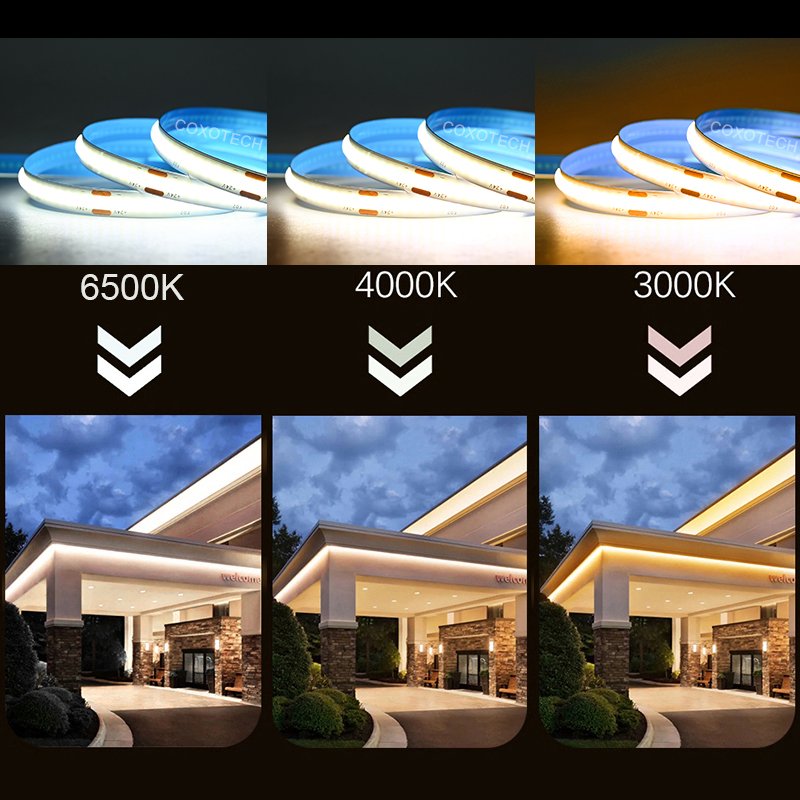 COXO Flexible White Cob Led Strip Light 12V 24V 3000K 4000K 6500K UL Ce Rohs No-rgbw Waterproof Smart Strip Lights