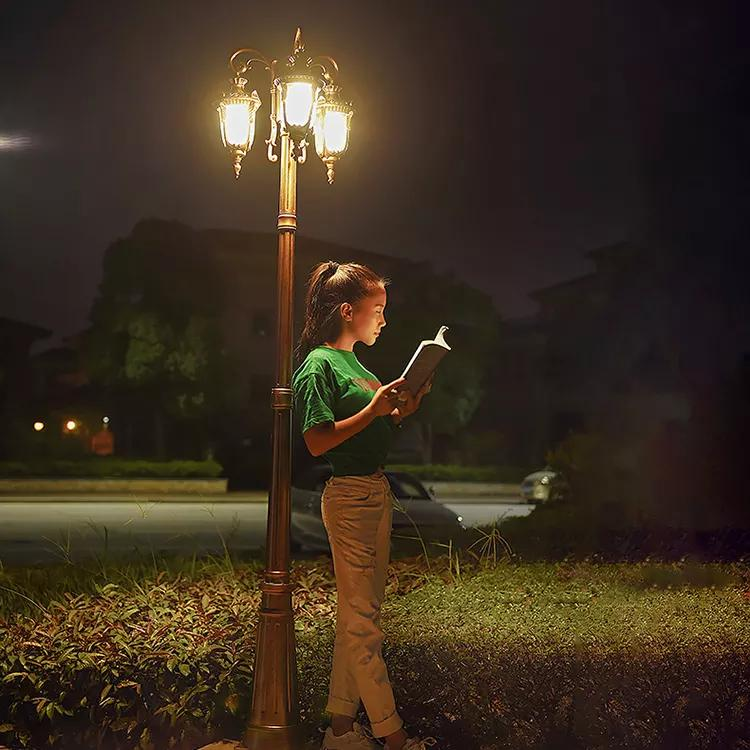 Factory Wholesale Outdoor Led Garden Lamp Poles With Double Arm Led Street Lights