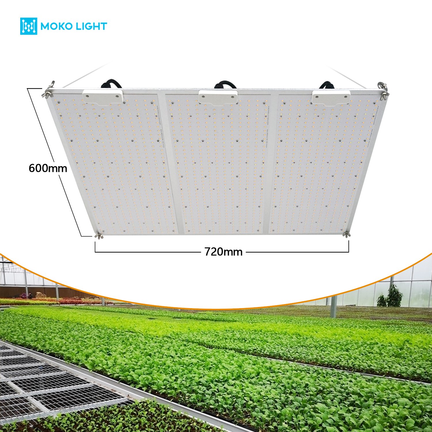 Best 200w 400w 600w 800w Lm301b Commercial Spider Uv Greenhouse Grow Light