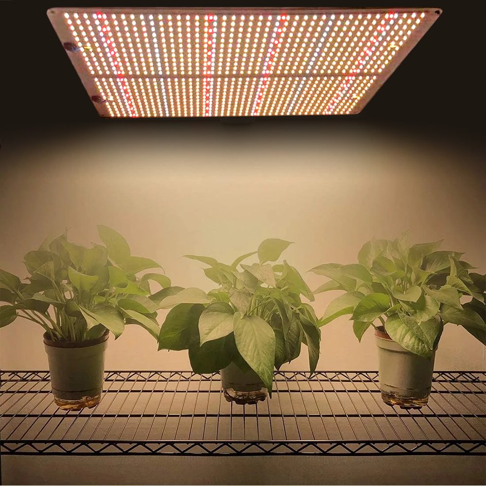 Best 200w 400w 600w 800w Lm301b Commercial Spider Uv Greenhouse Grow Light